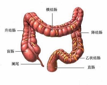 特异蛋白减压术的原理_多功能聚合物 药物二元体与细胞内的特异蛋白识别与活性调控原理图(3)