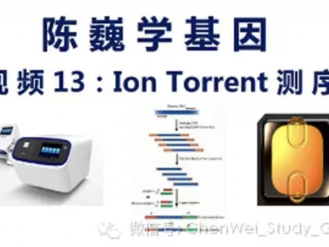 【陈巍学基因】视频13：Ion Torrent测序