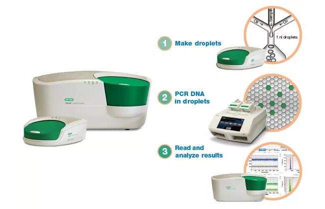 数字PCR丨历史、原理和平台