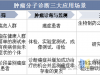 ICL肿瘤实验室，大盘点