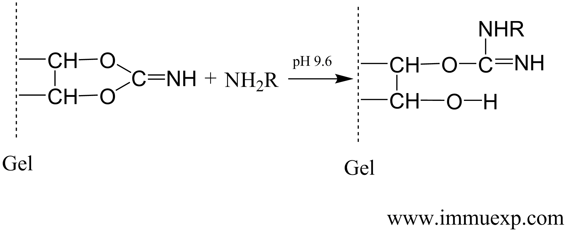 cnbraccoupling.png