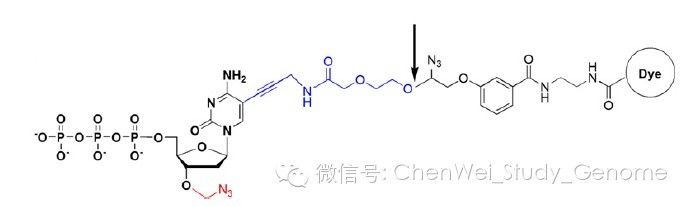 陈巍：Illumina测序中的化学方法