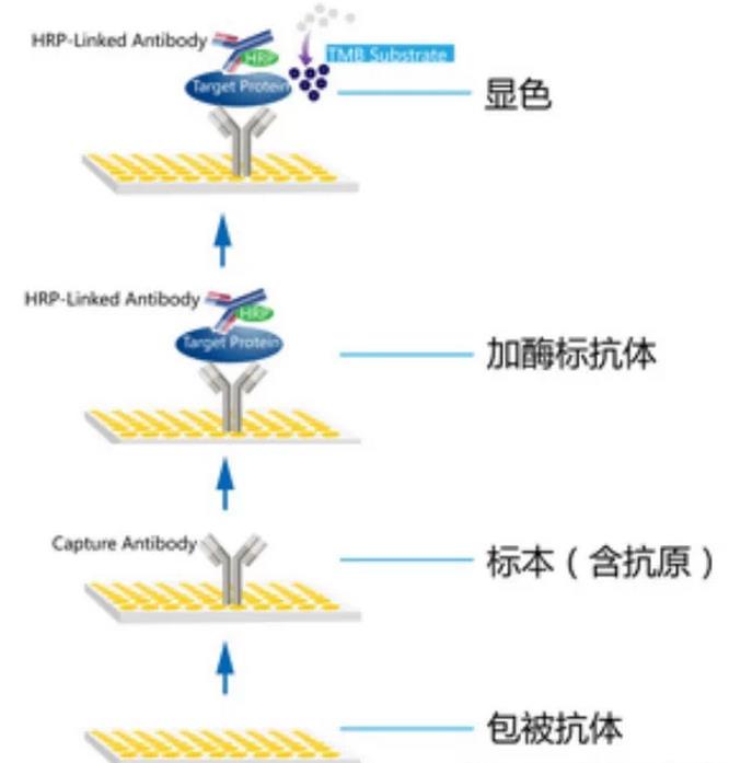 360截图20141121000834828.jpg