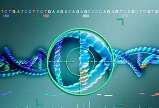 IVD行业交流会系列三之分子诊断专场万字干货纪要