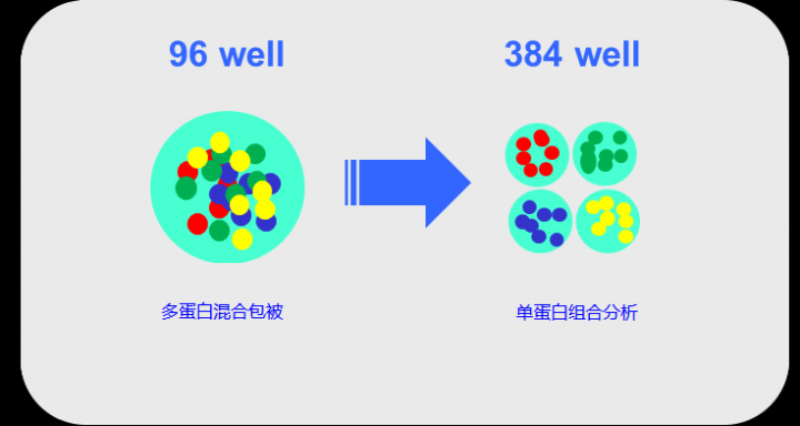 基于384微孔板单蛋白组合分析