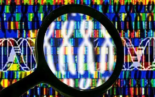 欧盟拟出台基因新政策，只有专业医疗专家才可以进行基因测试