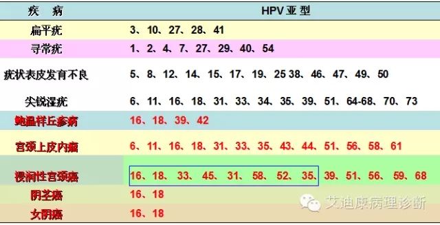 640.webp (9).jpg 640.webp (9).jpg