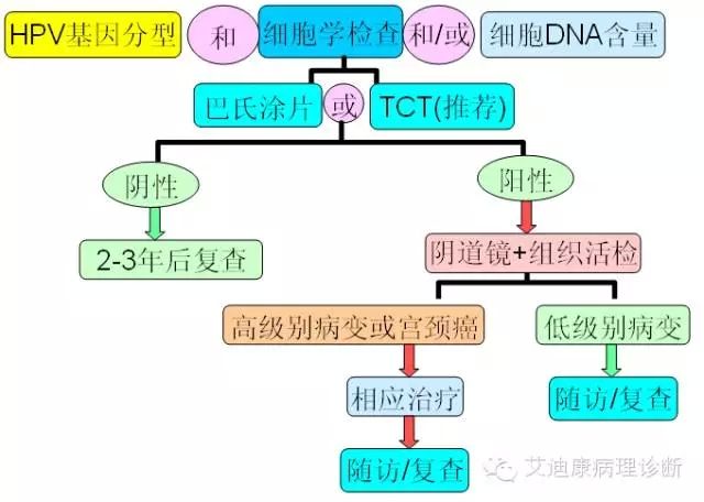 640.webp (13).jpg 640.webp (13).jpg