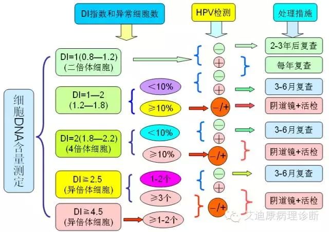 640.webp (16).jpg 640.webp (16).jpg