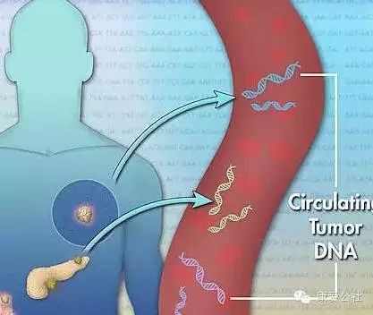 循环血肿瘤DNA检测—让你提前3-5年发现肿瘤的检测