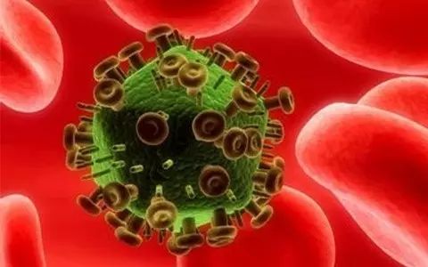 血液检测：关于cfDNA、ctDNA、CTC的那些事儿