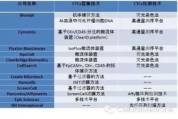 640.webp (13).jpg