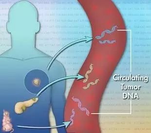 除了CTC和ctDNA检测，还有哪些肿瘤液体活检技术值得期待？