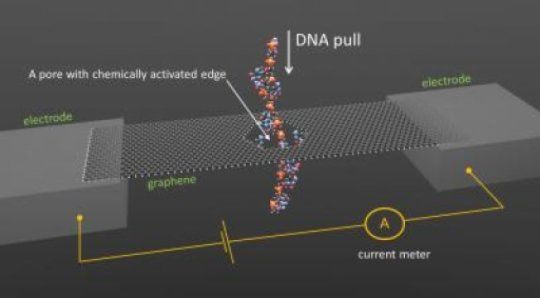 最新研究：石墨单分子层孔道DNA测序法