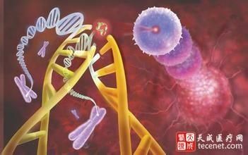 Lancet Oncol：液体活检，未来的通用癌症检查？