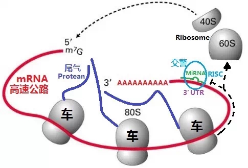 0.webp (1).jpg