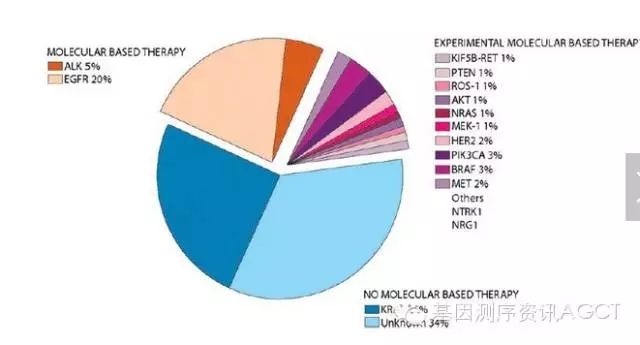 非小细胞肺癌靶向药物治疗相关基因检测的规范建议