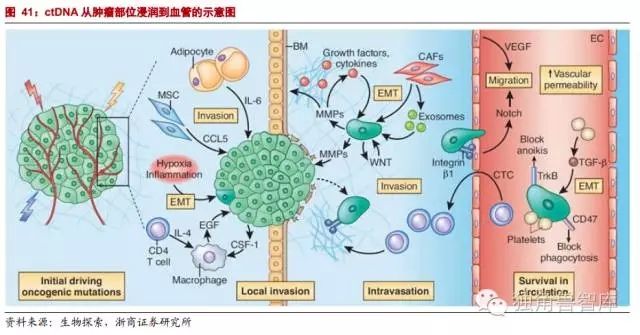精准医疗系列深度报告（三）下  ──解决传统低效治疗之路，肿瘤基因检测即将爆发