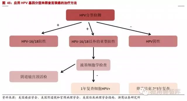 640.webp (9).jpg