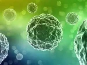 循环生物标志物领域发展趋势，有关液体活检、癌症基因，不得不看！