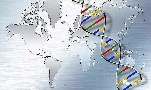 基因测序全产业链：上游三四代技术是趋势，下游样本积累是关键（第二章）