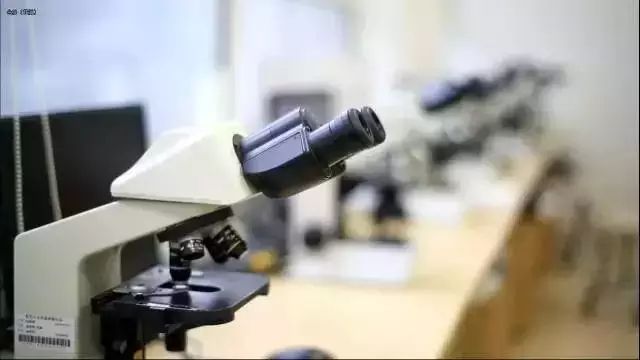 查肿瘤为何要做病理？专家为您揭开肿瘤病理的神秘面纱