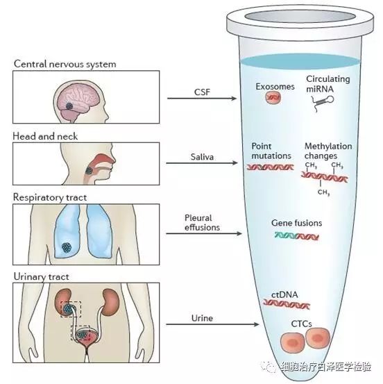 将液体活检整合到癌症管理中