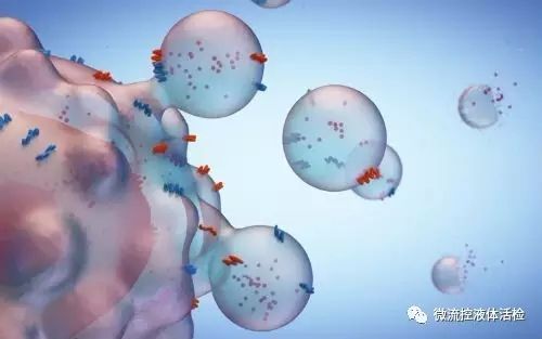 2017年第一季度液体活检文献盘点