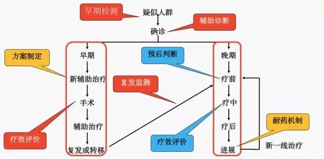 液体活检“正当年”