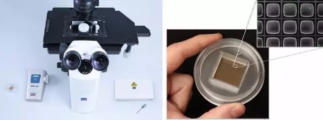 【液体活检应用再升级】CTC单细胞的高效富集与分离检测