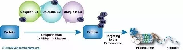 640.webp (29).jpg 640.webp (29).jpg