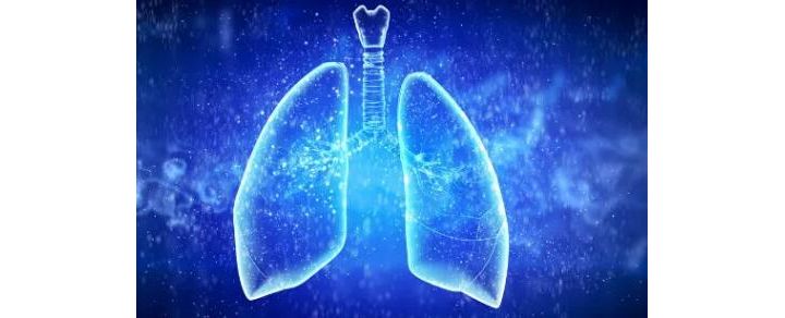 肺癌精准诊断与治疗、靶点和靶向药物的最新汇总！