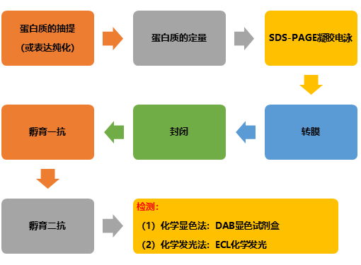 微信图片_20241114094220.png