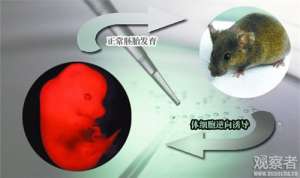 观察者网盘点2013年十大中国科技新闻