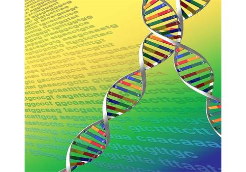 分子检测：解读疾病密码