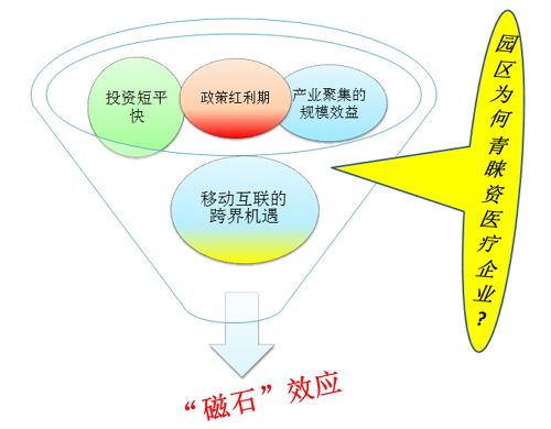 2013年园区为何青睐医疗器械?