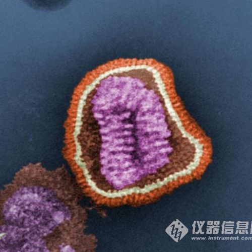 DNA分析与现场即时检测全球市场展望（上）