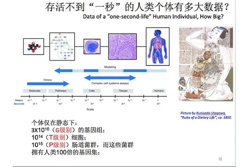 华大医学执行总裁尹烨：基因大数据