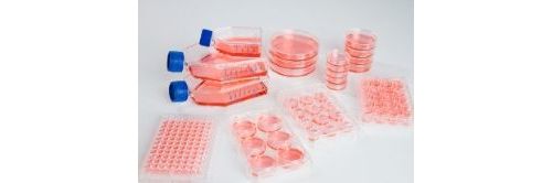 赛默飞在analytica 2014上展出多款新产品