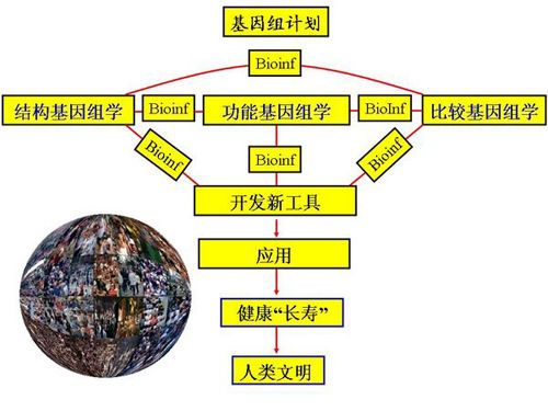 新一代测序：影响的不只是医疗行业