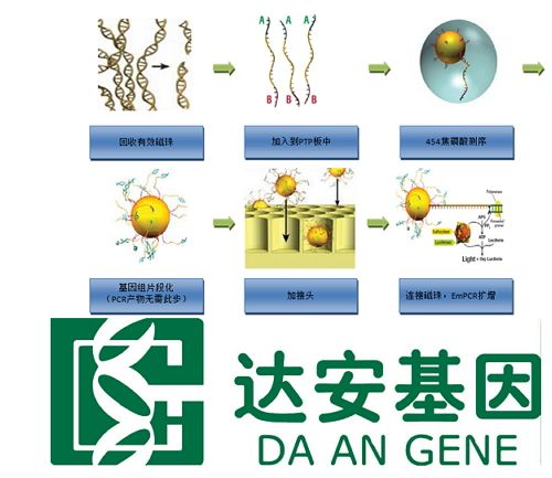 基因测序产业打响发令枪 达安基因等三公司望受益