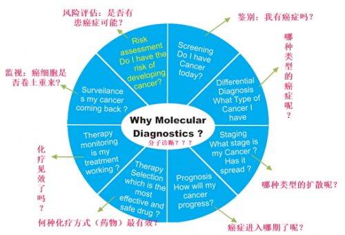 浅述分子诊断的前世今生及未来