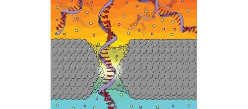 第三代单分子测序仪供应商PacBio进行软件升级