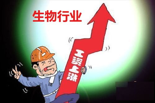 2014年生物制药行业薪酬现状