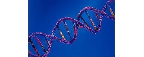 生物信息技术开创医药产业新时代