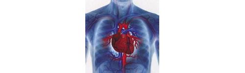 Eur Heart J：最新研究支持心血管疾病的炎症假说