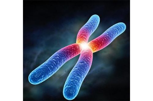 广州医科大等《PNAS》：快速便宜安全的无创DNA产前筛查