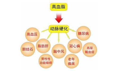 魏英杰： 高血脂防控应纳入基本公共卫生服务项目