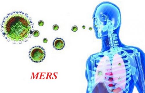 中国疾控：关注MERS，但不必紧张