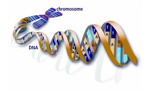 NEJM：家人患上绝症，你是否需要基因检测？